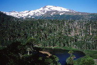 Copahue photo