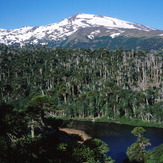 Copahue