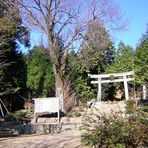 Mount Hongū
