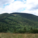 Kozubová