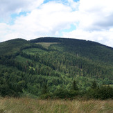 Kozubová