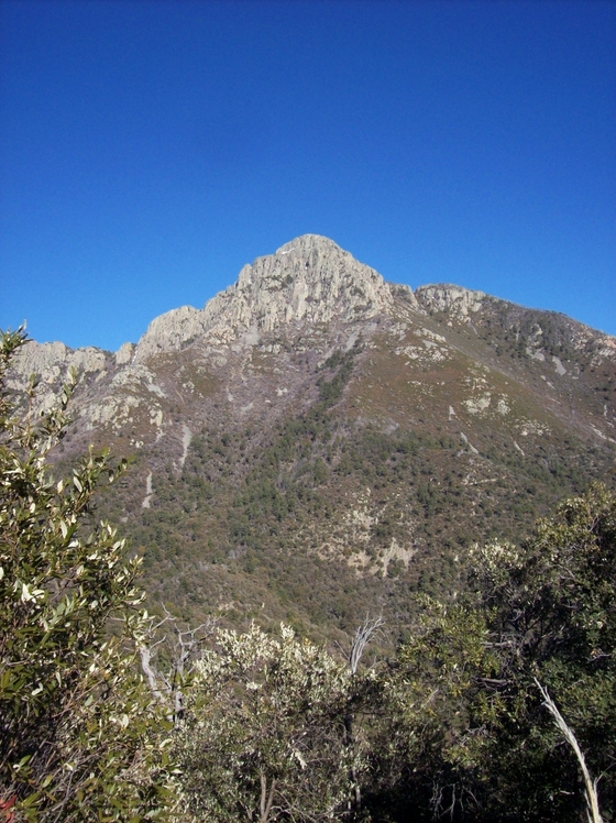 Mount Wrightson