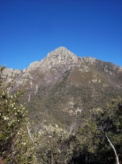 Mount Wrightson photo