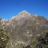 Mount Wrightson