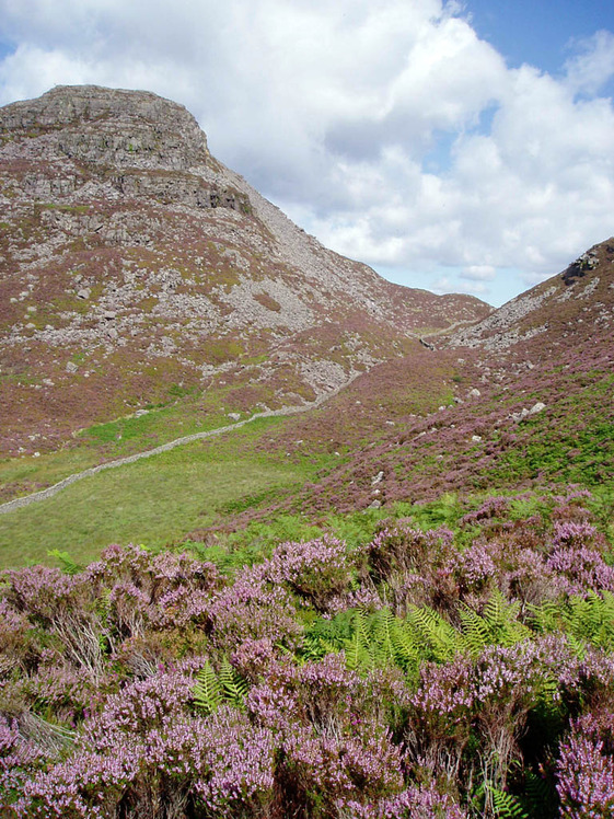 Rhinog Fawr