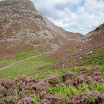 Rhinog Fawr