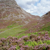 Rhinog Fawr