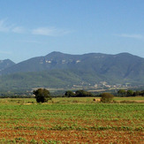 Mare de Déu del Mont