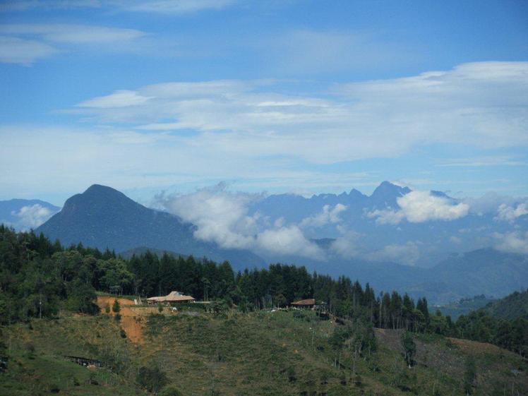 Cerro Bravo weather