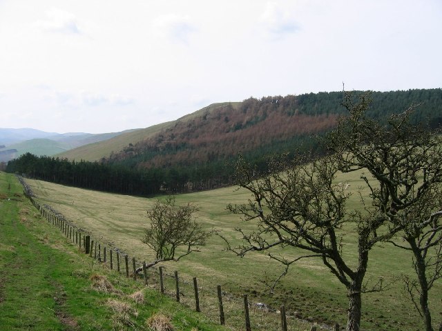 Housedon Hill