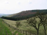 Housedon Hill photo