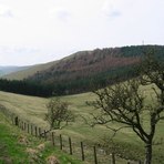 Housedon Hill