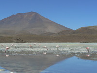 Cerro Araral photo