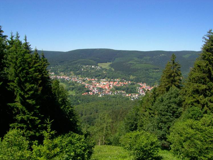 Großer Beerberg weather