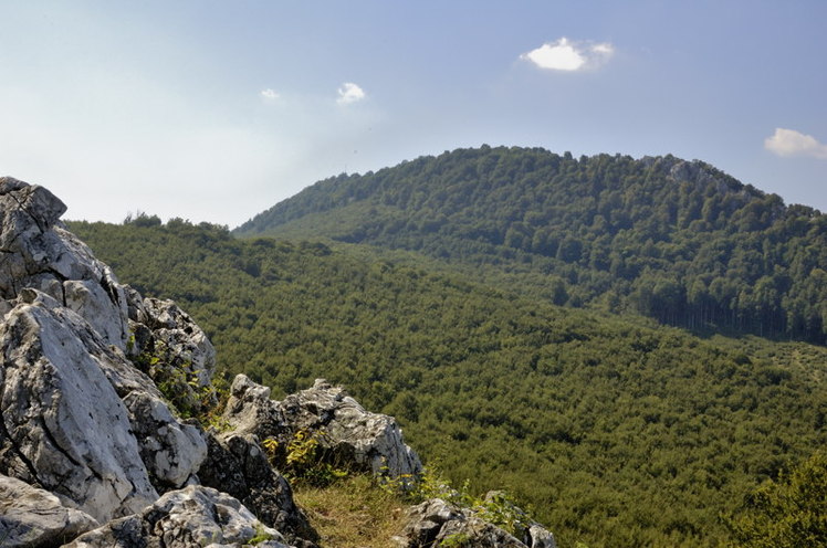 Vysoká (Carpathian mountain)