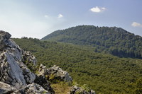 Vysoká (Carpathian mountain) photo