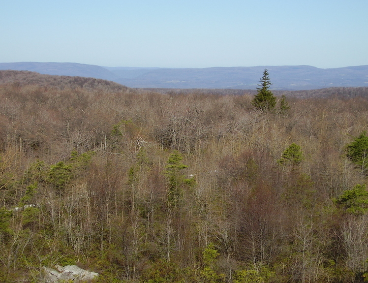 Negro Mountain weather