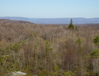 Negro Mountain photo