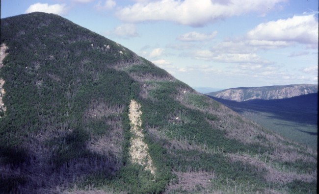 Mount Coe weather