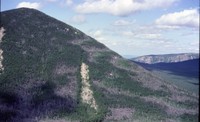 Mount Coe photo