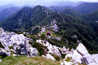 Risnjak photo