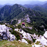 Risnjak