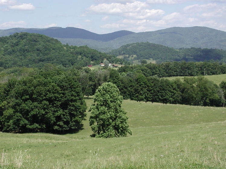 Laurel Mountain (West Virginia) weather