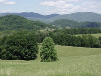 Laurel Mountain (West Virginia) photo