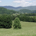 Laurel Mountain (West Virginia)