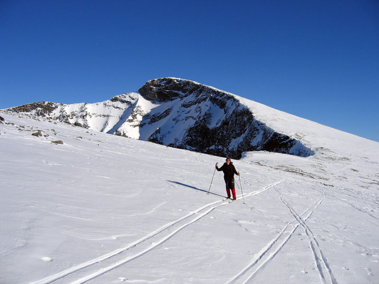 Nautgardstind