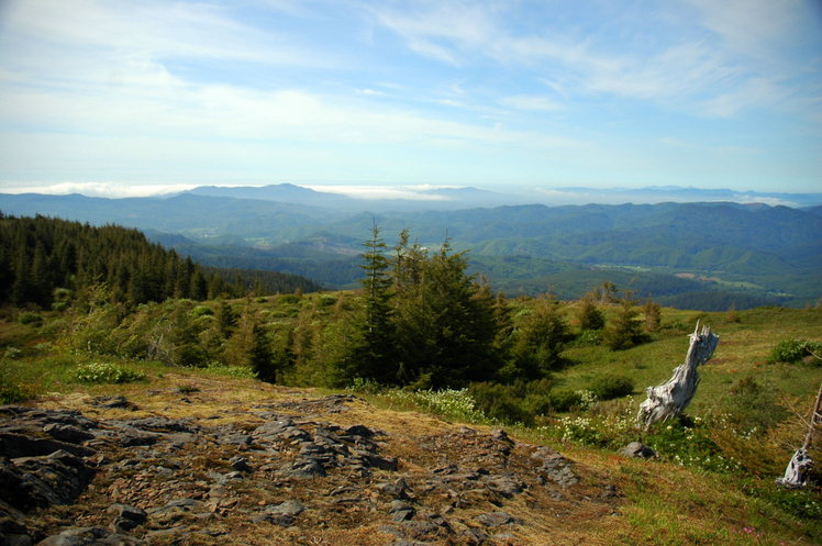 Mount Hebo weather