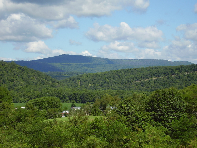 Butler Knob