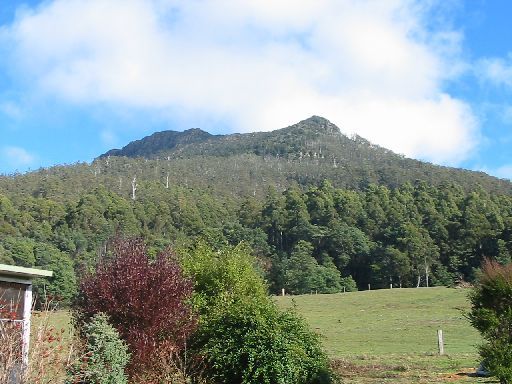 Quamby Bluff weather