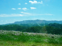 Black Mountain (Kentucky) photo