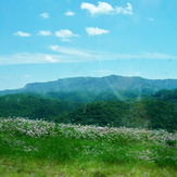 Black Mountain (Kentucky)