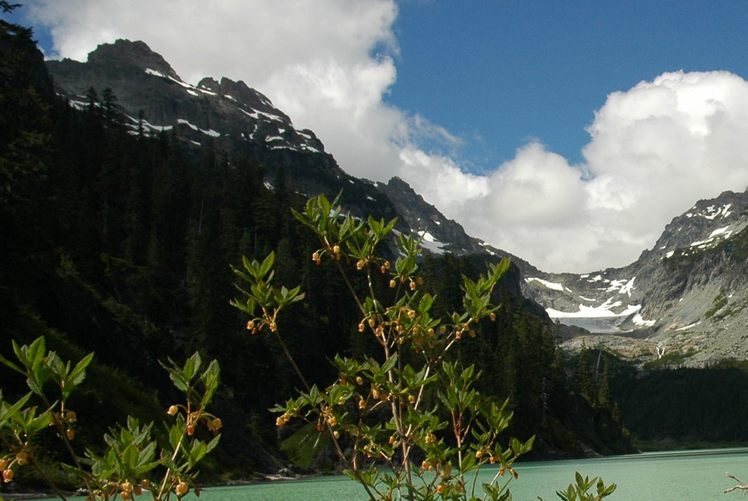 Columbia Peak weather