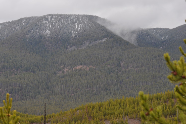 Purple Mountain (Wyoming)