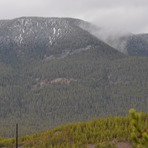 Purple Mountain (Wyoming)