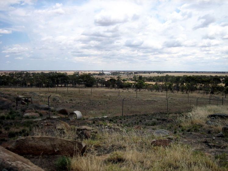 Mount Wycheproof weather