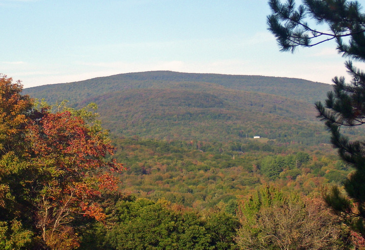 Halcott Mountain weather