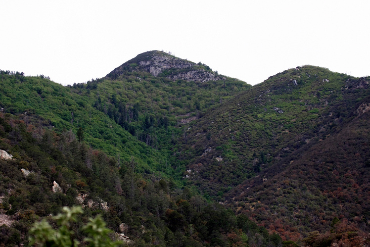 Miller Peak (Arizona) weather