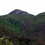 Miller Peak (Arizona)