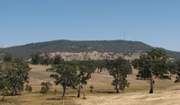 Mount Alexander photo