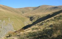 Stybarrow Dodd photo