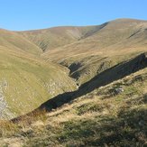 Stybarrow Dodd