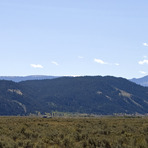 Blacktail Butte