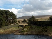 Boulsworth Hill photo