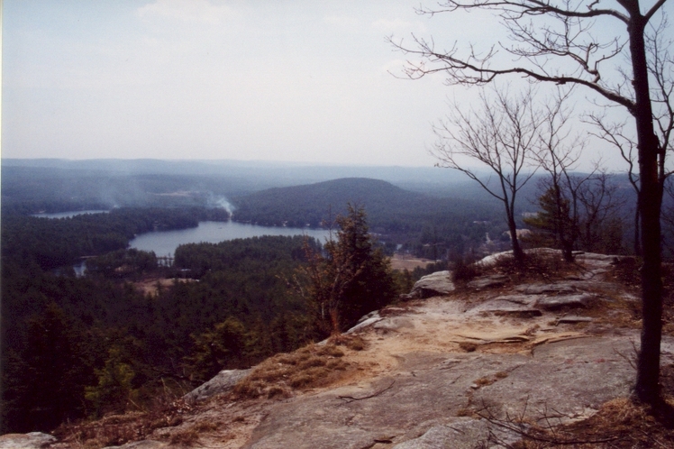 Tully Mountain weather