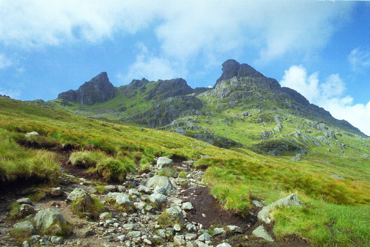 The Cobbler