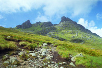 The Cobbler photo